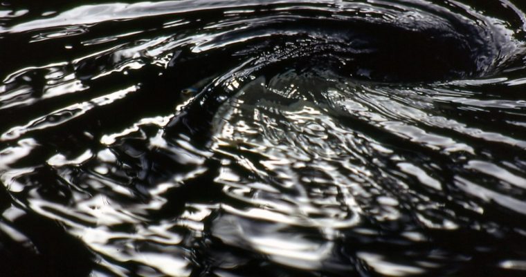 Dark Whirlpool